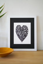 Load image into Gallery viewer, Anthurium Bench Hybrid 8"x10"