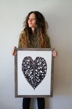 Load image into Gallery viewer, Anthurium Bench Hybrid 18"x24"