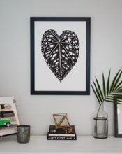 Load image into Gallery viewer, Anthurium Bench Hybrid 18"x24"