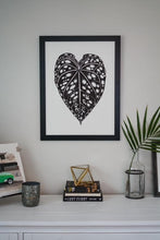 Load image into Gallery viewer, Anthurium Bench Hybrid 18"x24"