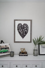 Load image into Gallery viewer, Anthurium Bench Hybrid 18"x24"