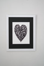 Load image into Gallery viewer, Anthurium Bench Hybrid 8"x10"