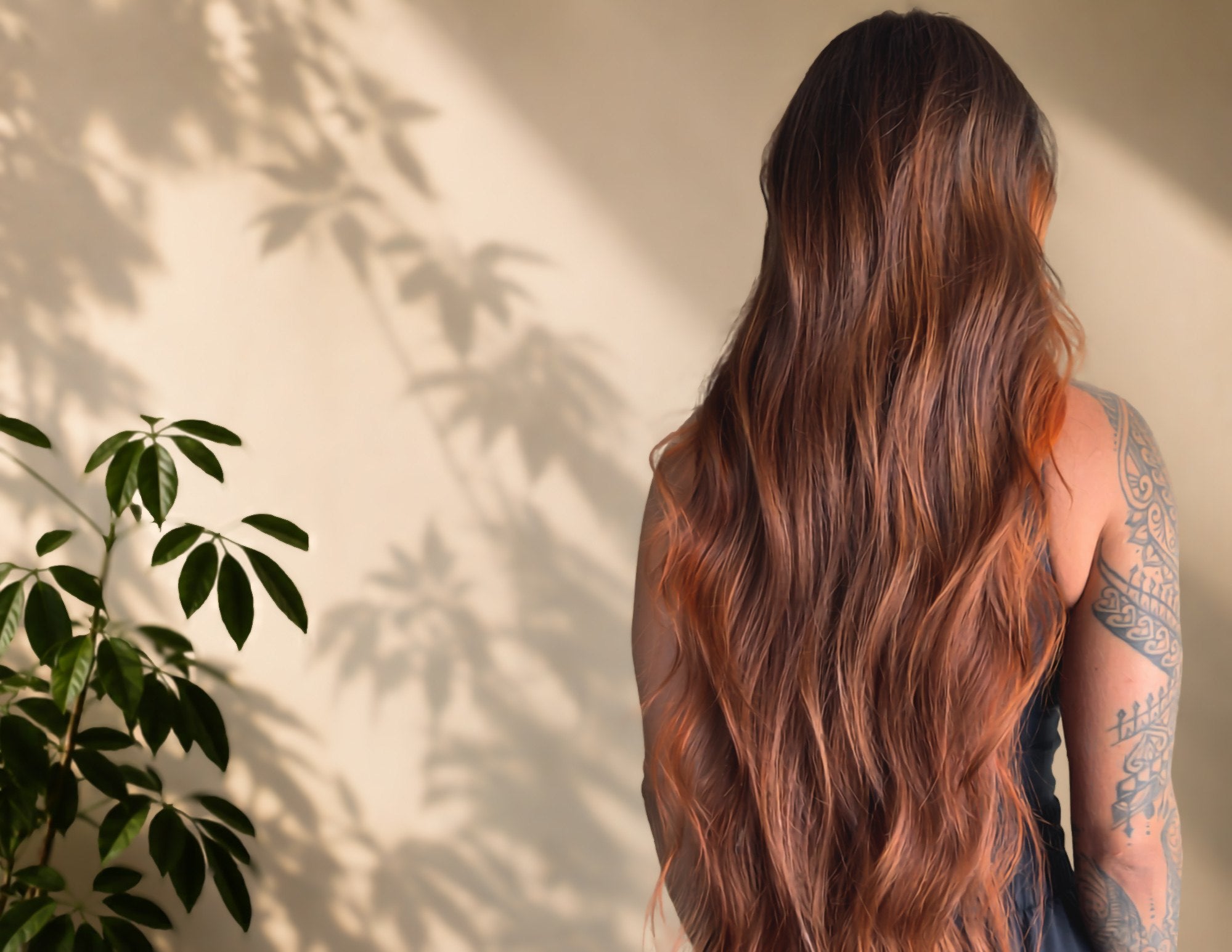 Warm morning light, botanical shadow, auburn waves