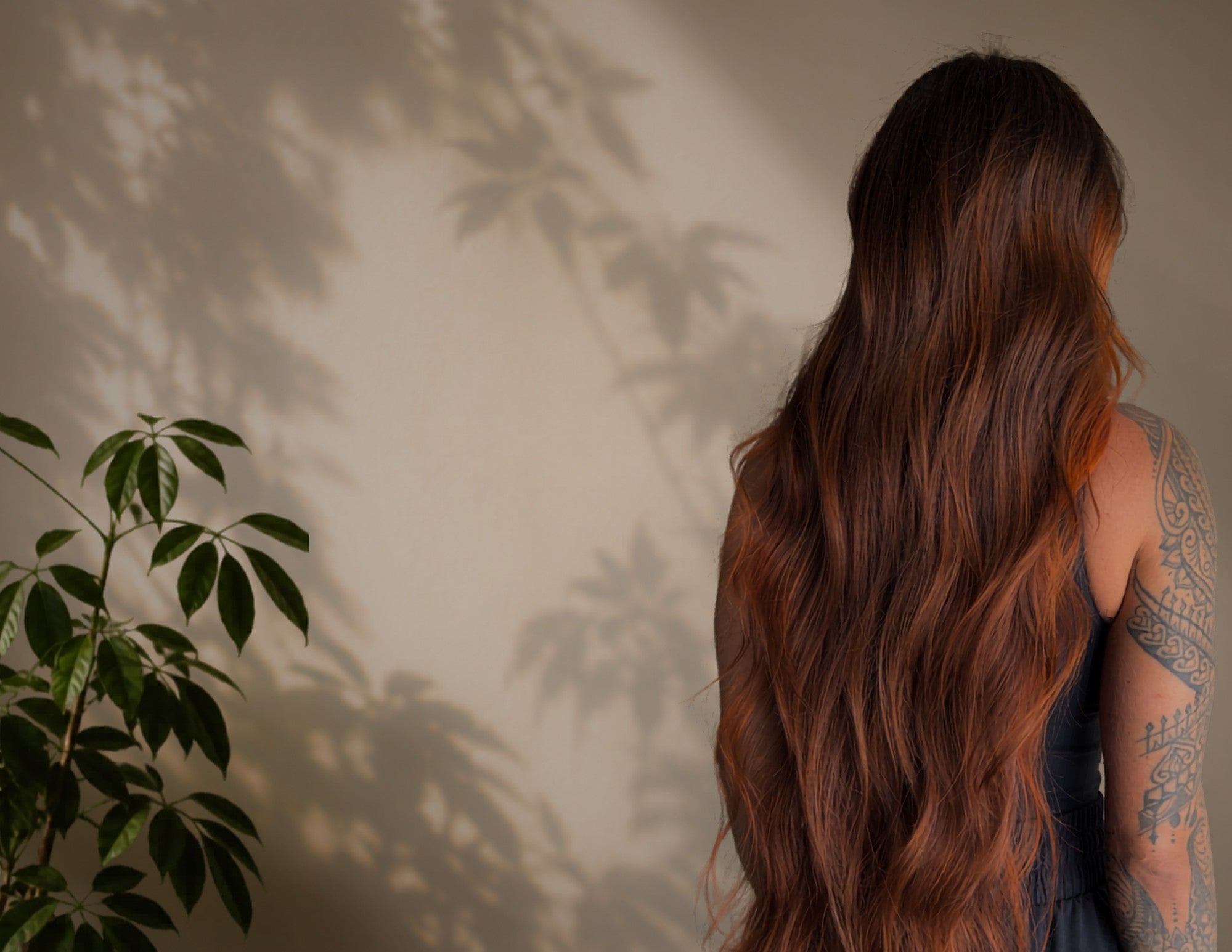 Warm morning light, botanical shadow, auburn waves